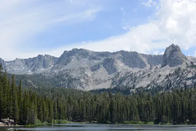 DSC_3223 (Large).JPG